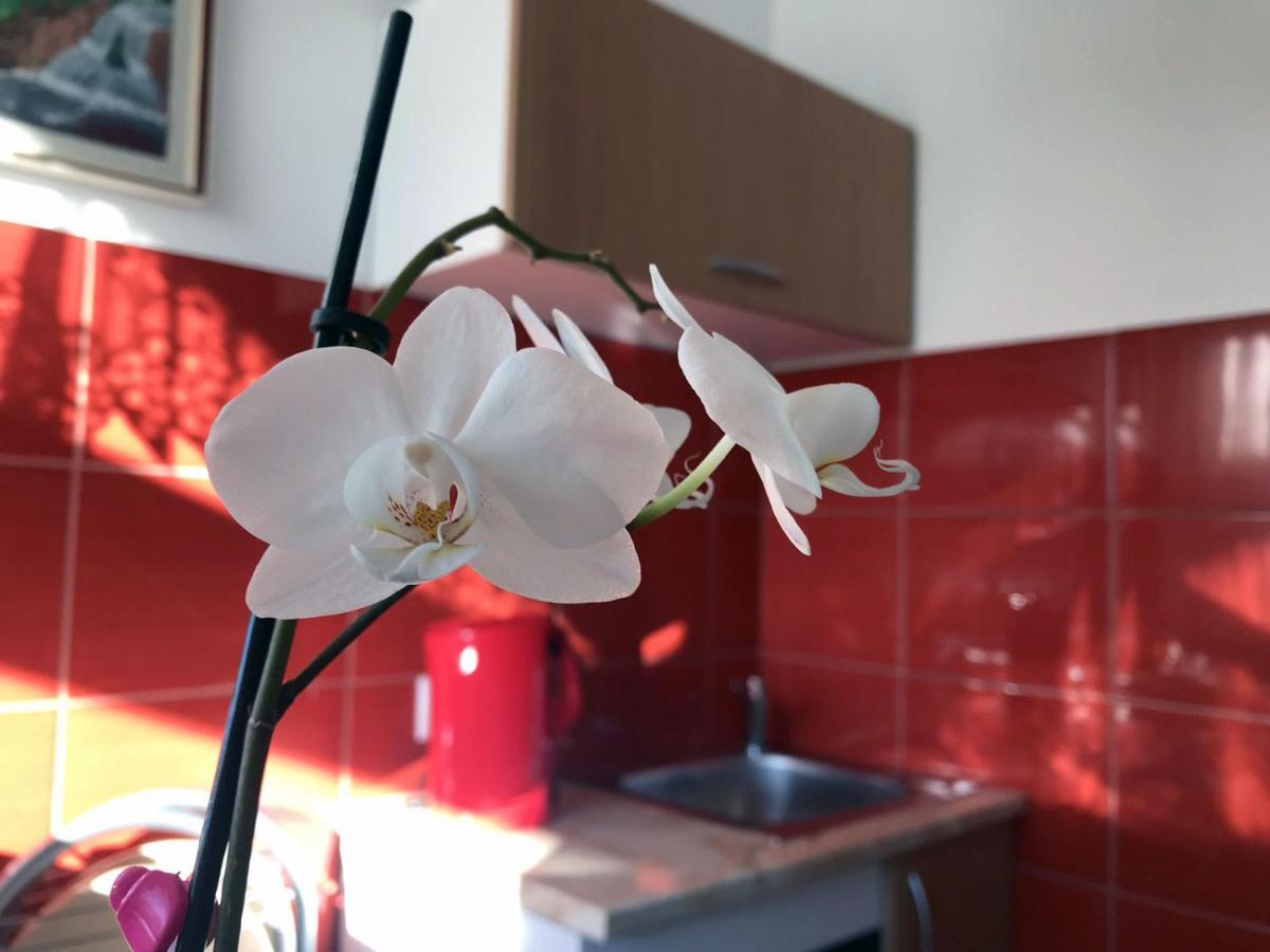 Soba Milica Hotel Palic Ngoại thất bức ảnh